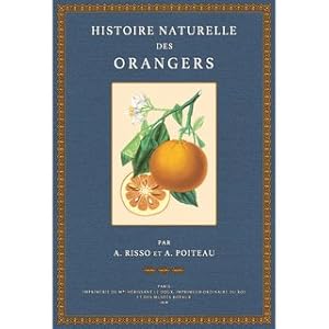 Immagine del venditore per Histoire Naturelle des Orangers Riche collection de plantes les plus remarquables fleurs & fruits de grosseur & de grandeur naturelle. venduto da Versandantiquariat Nussbaum