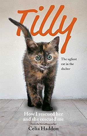 Immagine del venditore per Tilly: The Ugliest Cat: How I rescued her and she rescued me venduto da WeBuyBooks
