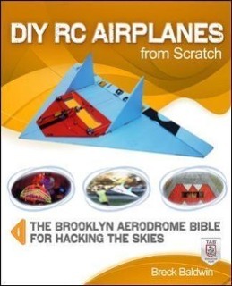 Seller image for DIY RC Airplanes from Scratch for sale by moluna