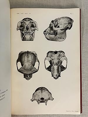 Contribution a la Craniologie Comparee des Primates. Les Genres Colobus Illiger 1811 et Cercopith...