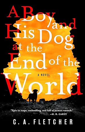 Bild des Verkufers fr A Boy and His Dog at the End of the World zum Verkauf von moluna