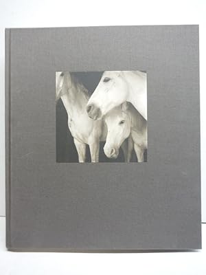 Image du vendeur pour The Journal of Contemporary Photography: Culture & Criticism: 1 mis en vente par Imperial Books and Collectibles