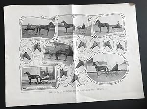 Imagen del vendedor de Mr. C.K. Billings, His Horses and His Friends a la venta por Robin Bledsoe, Bookseller (ABAA)