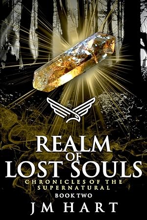 Bild des Verkufers fr Realm of Lost Souls zum Verkauf von moluna