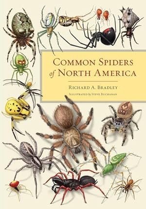 Bild des Verkufers fr Common Spiders of North America zum Verkauf von moluna