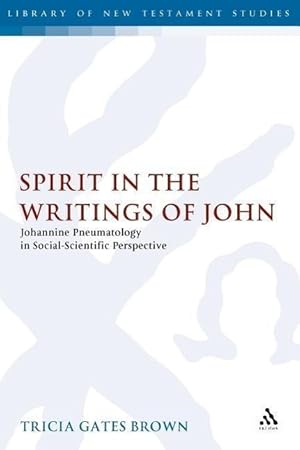 Bild des Verkufers fr SPIRIT IN THE WRITINGS OF JOHN zum Verkauf von moluna