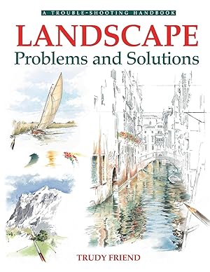 Bild des Verkufers fr Landscape Problems and Solutions zum Verkauf von moluna