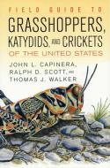 Bild des Verkufers fr Field Guide to Grasshoppers, Katydids, and Crickets of the United States zum Verkauf von moluna