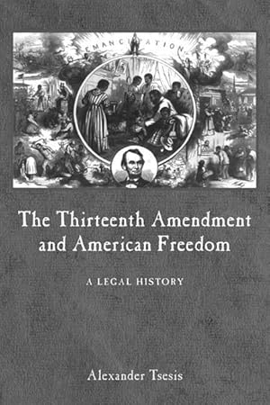 Bild des Verkufers fr Thirteenth Amendment and American Freedom zum Verkauf von moluna