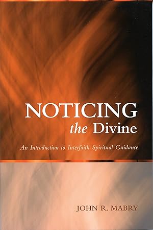 Bild des Verkufers fr Noticing the Divine: An Introduction to Interfaith Spiritual Guidance zum Verkauf von moluna