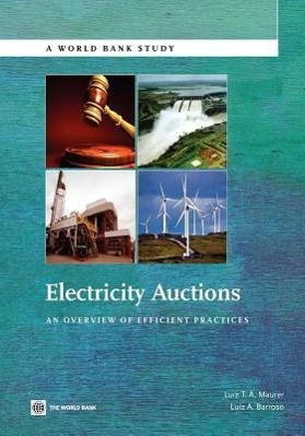 Seller image for Maurer, L: Electricity Auctions for sale by moluna