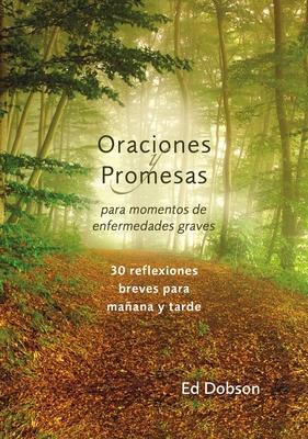 Bild des Verkufers fr Oraciones Y Promesas: Para Momentos de Enfermedades Graves zum Verkauf von moluna