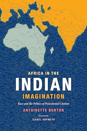 Bild des Verkufers fr Africa in the Indian Imagination: Race and the Politics of Postcolonial Citation zum Verkauf von moluna