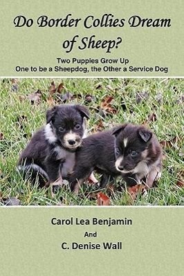 Seller image for DO BORDER COLLIES DREAM OF SHE for sale by moluna