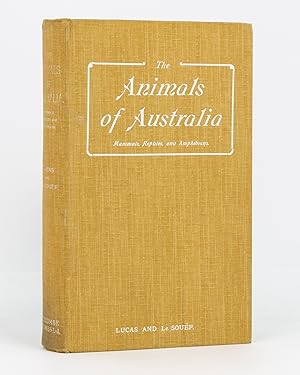 Image du vendeur pour The Animals of Australia. Mammals, Reptiles and Amphibians mis en vente par Michael Treloar Booksellers ANZAAB/ILAB