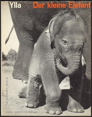 Image du vendeur pour Der kleine Elefant. Fotos von Ylla. Text von Paulette Falconnet. mis en vente par Antiquariat A. Suelzen