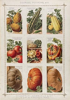 Tableaux Coloriés de Plantes Potagères [cover title]