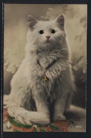 Bild des Verkufers fr Glasaugen-Ansichtskarte Weisse Katze mit grnen Augen und Glckchen am Hals zum Verkauf von Bartko-Reher