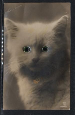 Bild des Verkufers fr Glasaugen-Ansichtskarte Hbsche weisse Katze mit grossen grnen Augen zum Verkauf von Bartko-Reher