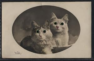 Bild des Verkufers fr Glasaugen-Ansichtskarte Zwei ssse Katzen mit grnen Augen zum Verkauf von Bartko-Reher