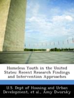 Bild des Verkufers fr Homeless Youth in the United States: Recent Research Findings and Intervention Approaches zum Verkauf von moluna