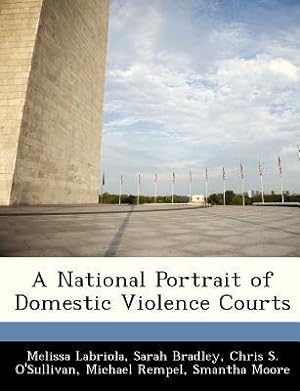 Seller image for A National Portrait of Domestic Violence Courts for sale by moluna