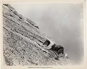 Bild des Verkufers fr The Painted Hills (Original photograph from the 1951 film) zum Verkauf von Royal Books, Inc., ABAA