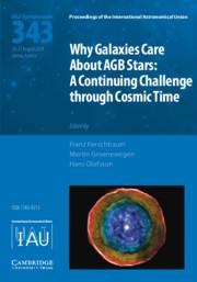 Bild des Verkufers fr Why Galaxies Care about Agb Stars (Iau S343): A Continuing Challenge Through Cosmic Time zum Verkauf von moluna