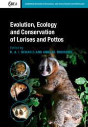 Bild des Verkufers fr Evolution, Ecology and Conservation of Lorises and Pottos zum Verkauf von moluna