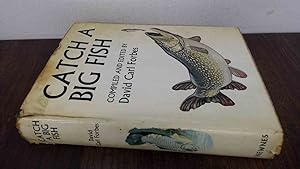 Imagen del vendedor de Catch A Big Fish a la venta por BoundlessBookstore