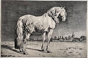 Seller image for Antique print, etching | The Frisian horse, published ca. 1800, 1 p. for sale by Antiquariaat Arine van der Steur / ILAB