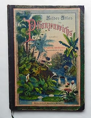 Bilder-Atlas des Pflanzenreichs nach dem natürlichen System. 68 fein kolorierte Tafeln mit über 6...