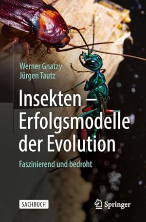 Seller image for Insekten - Erfolgsmodelle der Evolution : Faszinierend und bedroht for sale by AHA-BUCH GmbH