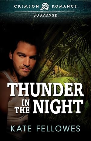 Seller image for Thunder in the Night for sale by moluna