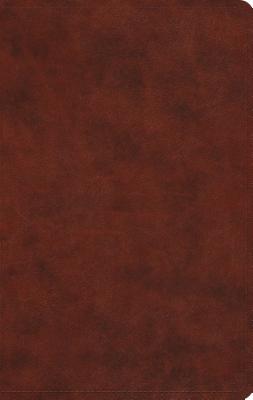 Seller image for Large Print Value Thinline Bible-ESV (Leather / Fine Binding) for sale by BargainBookStores