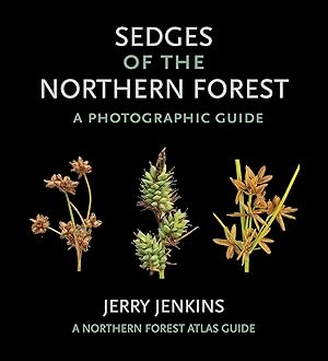 Bild des Verkufers fr Sedges of the Northern Forest: A Photographic Guide zum Verkauf von moluna