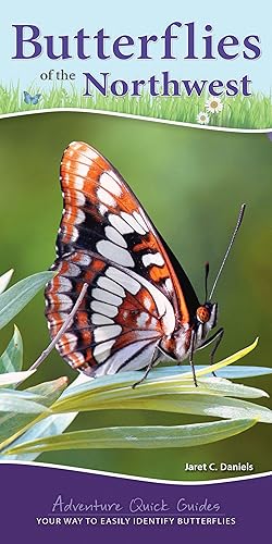 Bild des Verkufers fr Butterflies of the Pacific Northwest zum Verkauf von moluna