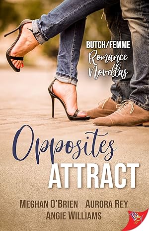 Bild des Verkufers fr Opposites Attract: Butch/Femme Romances zum Verkauf von moluna
