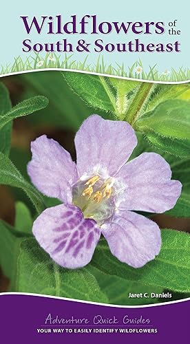 Bild des Verkufers fr Wildflowers of the South & Southeast zum Verkauf von moluna