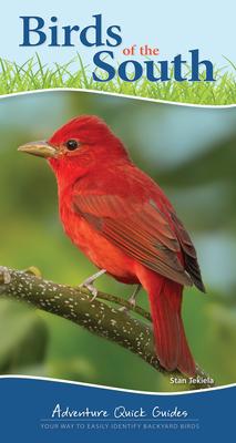 Bild des Verkufers fr Birds of the South & Gulf States: Your Way to Easily Identify Backyard Birds zum Verkauf von moluna