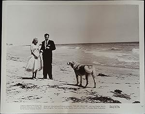 Seller image for The She Creature 8 x 10 Still 1956 Chester Morris, Marla English, Tom Conway for sale by AcornBooksNH