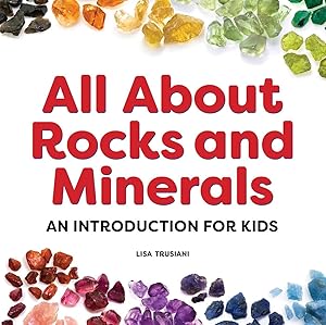 Bild des Verkufers fr My First Rocks and Minerals Book: All about Rocks, Minerals, and Gems for Kids zum Verkauf von moluna