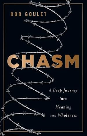 Bild des Verkufers fr Chasm: A Deep Journey into Meaning and Wholeness zum Verkauf von moluna
