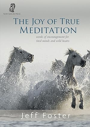 Bild des Verkufers fr The joy of True Meditation zum Verkauf von moluna