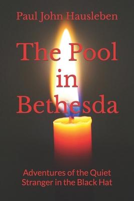 Bild des Verkufers fr The Pool in Bethesda: Adventures of the Quiet Stranger in the Black Hat zum Verkauf von moluna
