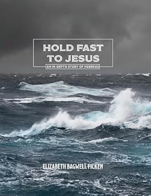 Bild des Verkufers fr Hold Fast to Jesus: An in-depth study of Hebrews zum Verkauf von moluna