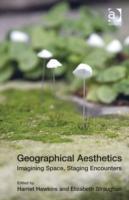 Seller image for Straughan, D: Geographical Aesthetics for sale by moluna