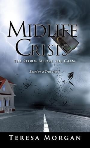 Bild des Verkufers fr Midlife Crisis: The Storm Before the Calm zum Verkauf von moluna