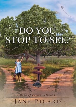 Seller image for Do You Stop to See? for sale by moluna