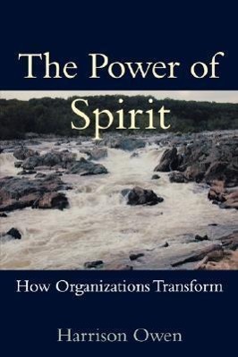 Bild des Verkufers fr The Power of Spirit: How Organizations Transform zum Verkauf von moluna